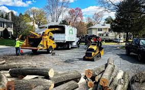 Mulching Services in Mastic Beach, NY